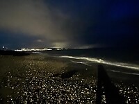 Zee by night