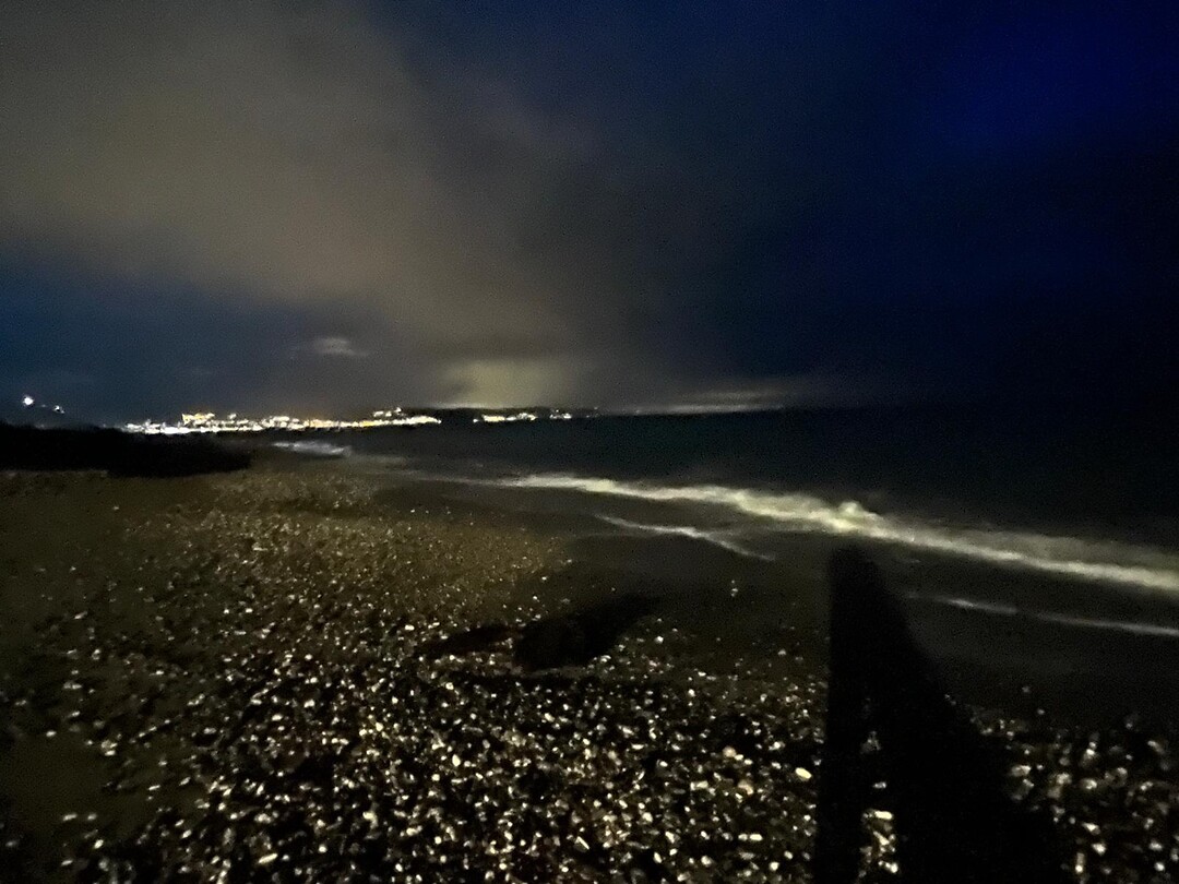 Zee by night