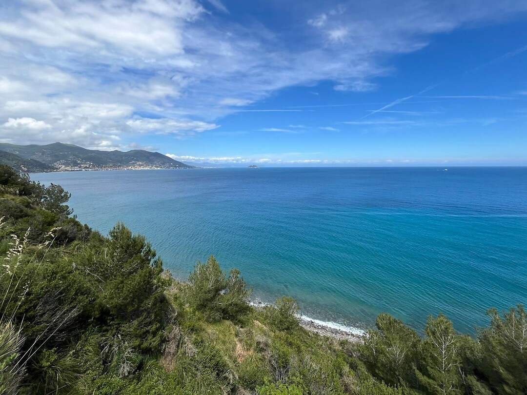 Mediterranee