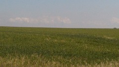 Hollands landschap op de 1.000m hoge Meseta