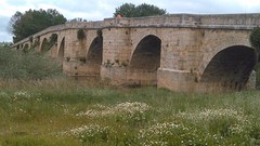 Brug over de Rio Pisuerga