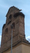 Buitenwijk Léon