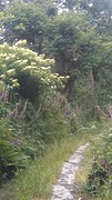 IMG_20160618_142117