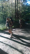 IMG_20160620_085217