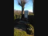 VID_20160413_091246