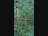 VID_20160417_104655