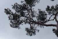 DSC02986