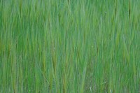 DSC02981