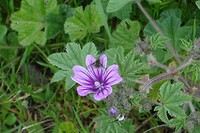DSC02975