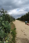 DSC02976