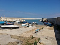 IMG_20190406_115701