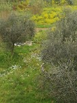 IMG_20190406_100452