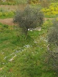 IMG_20190406_100450