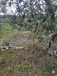 IMG_20190406_090234