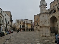 IMG_20190406_074744