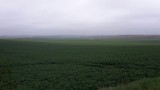 IMG-20150404-WA0002