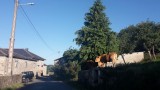 Ventas de Narón, Spanje 7