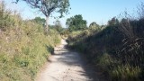 Boente, Spanje 6