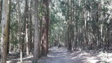 Pedrouzo, Spanje 2
