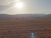 DSC06444