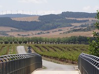 DSC06439
