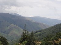DSC06408