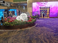 IMG_20221217_191757