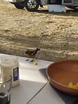 IMG_20221221_200247