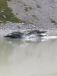 IMG_20221221_111910
