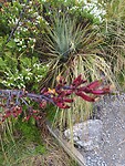 IMG_20221221_101430