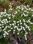 IMG_20221221_101327