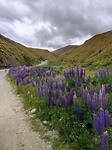 IMG_20221224_115402