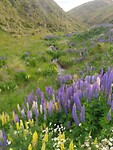 IMG_20221224_115324