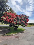 IMG_20221227_145255