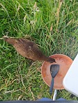 IMG_20221227_203336