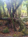 IMG_20221225_152804