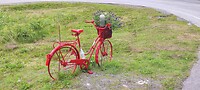 IMG_20230728_143911