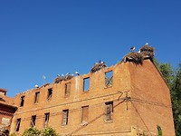 20180612_094627