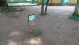 DSC06856