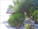 Omgeving waterbungalows