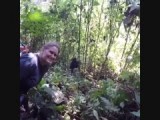 Berggorilla's in Bwindi