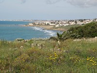 Selinunte
