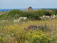 Selinunte