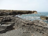 IMG_2215