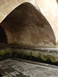 IMG_2292