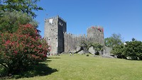 20170604_152945_resized