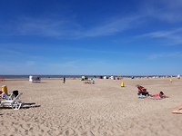 20170809_105626_resized_1