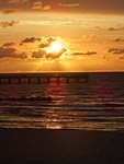 IMG_2933