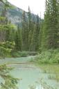 Yoho NP