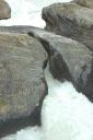 Yoho NP